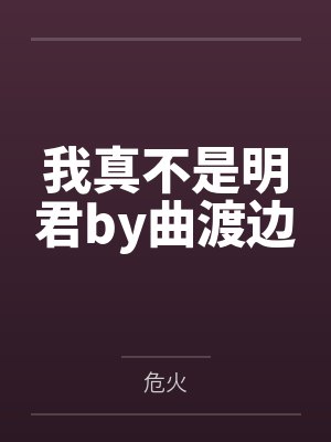 言笙笙封面